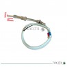 Par termoeléctrico/Sonda para Canteadoras TT306DSP
